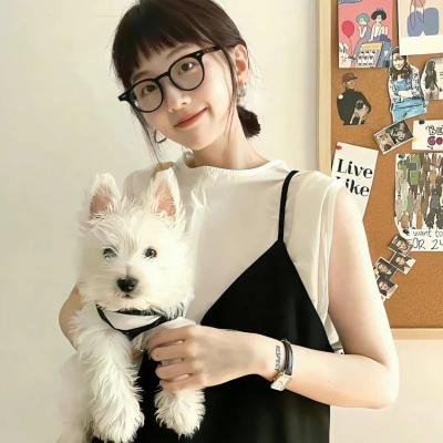 积木之箱